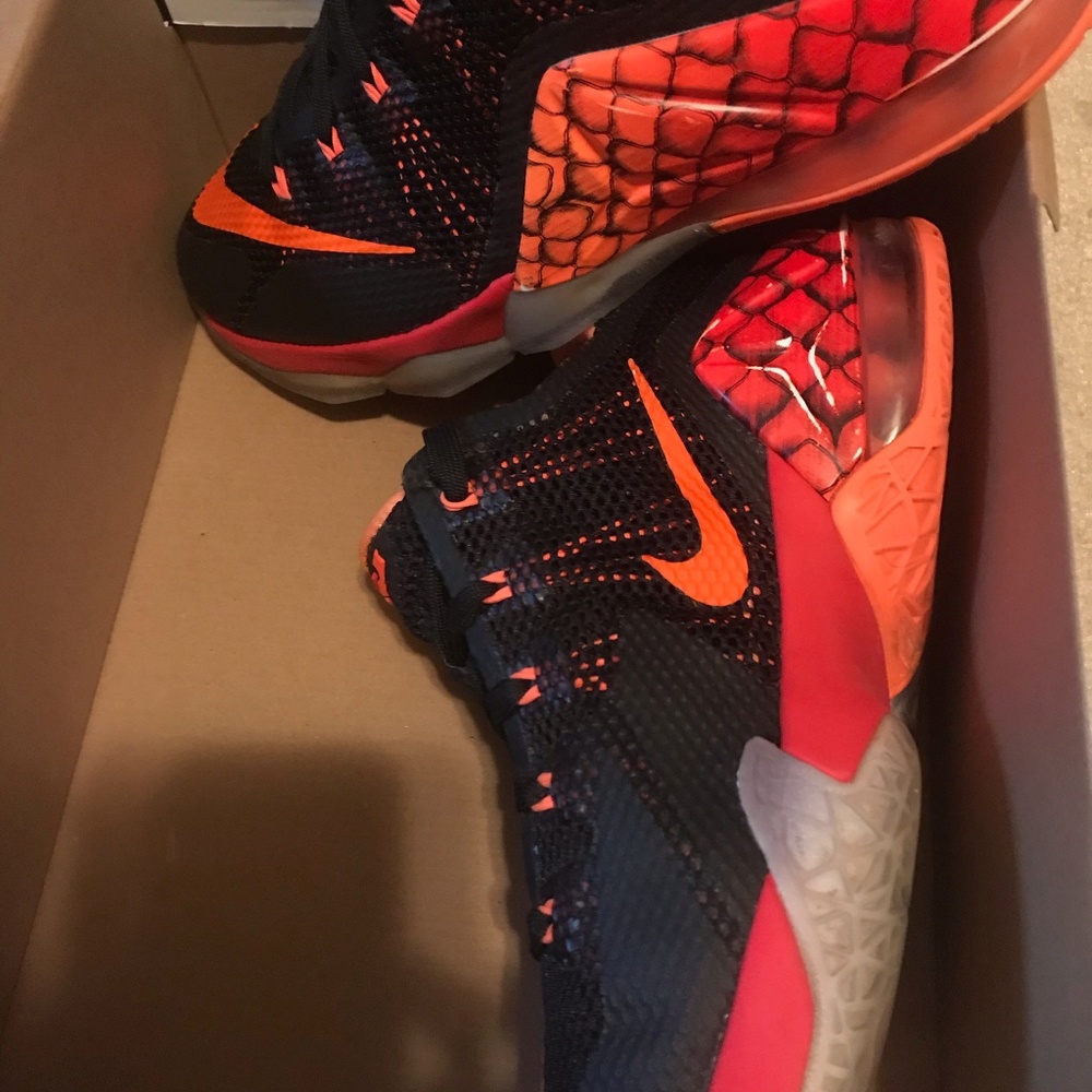 Lebron James 12 Low
